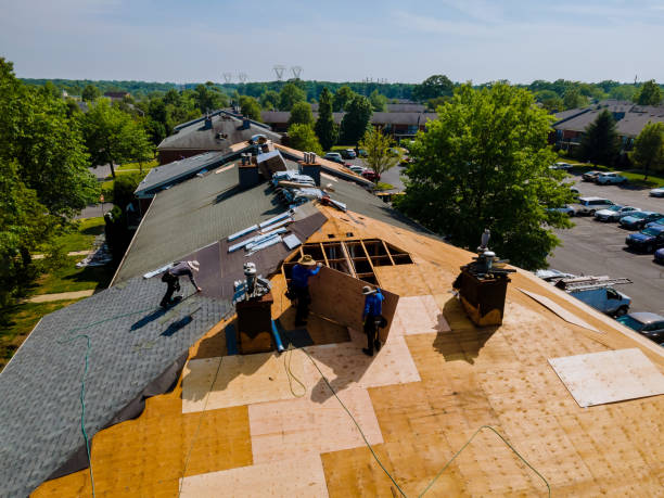 Trusted Storm Damage Roof Repair service in Lenoir, NC - Brentwood Metal Roofing